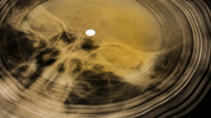 Bone Music. Courtesy of Garage Museum of Contemporary Art