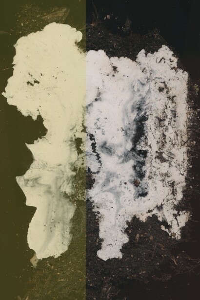 Sarah Burger. Courtesy of Vitrine