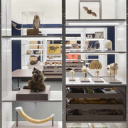 Aha?! Forschungswerkstatt, ausstellungsansicht. Mit freundlicher genehmigung des Senckenberg Naturmuseums