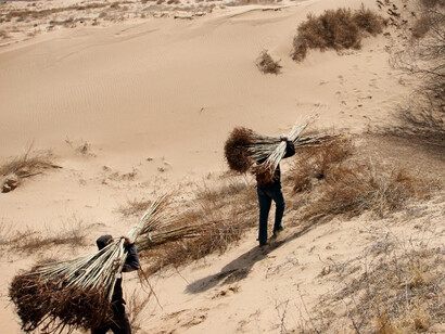 The effects of drought
