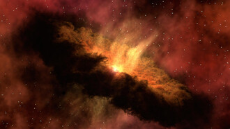 Eventually, there is a collapse and a major die-off, with the possible extinction of the species