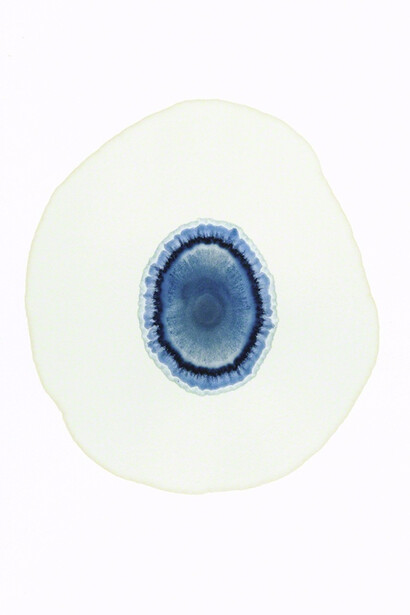 Miles Coolidge, Schwefelsaures Eisenoxyd 70 B. - 2) Phosporsaures Ammo. Courtesy of Peter Blum Gallery