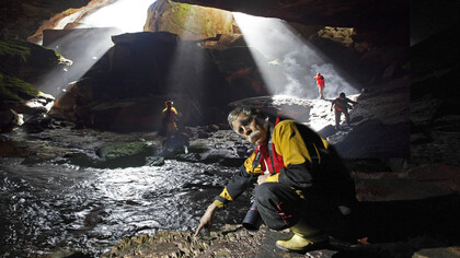 Charles Brewer-Carías