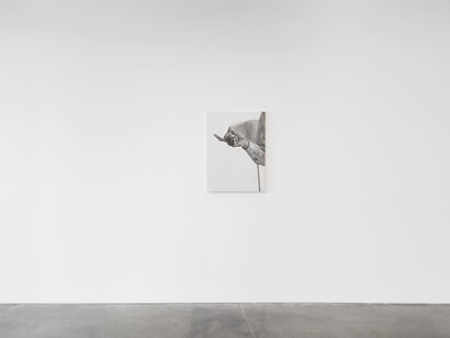 Ilê Sartuzi, To vanish, exhibition view. Courtesy of Pedro Cera