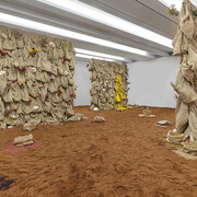 Solange Pessoa, Catch the sun with your hand, exhibition view. Courtesy of Aspen Art Museum