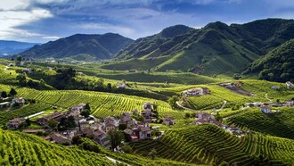 Le Colline del Prosecco, Patrimonio Mondiale dell'Umanità