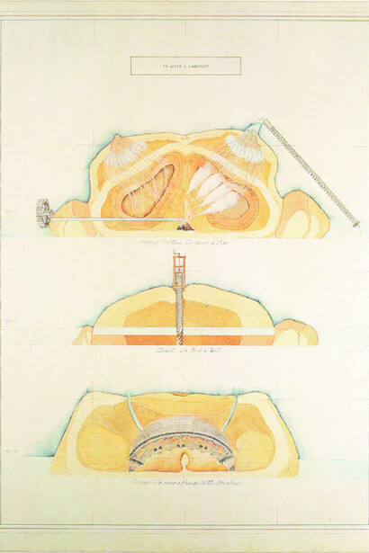 Kathy Prendergast, To Alter a Landscape, (1983) Body Map series