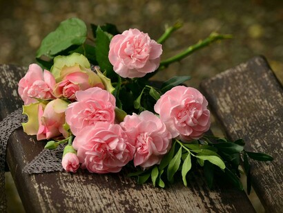 Rosas rosadas, símbolo de delicadeza