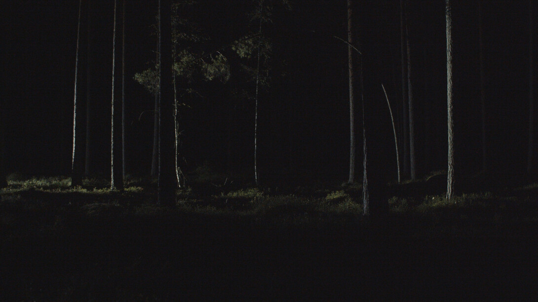 Pasi Autio, State of alert (video still, detail), 2025. Courtesy of Turku Art Museum