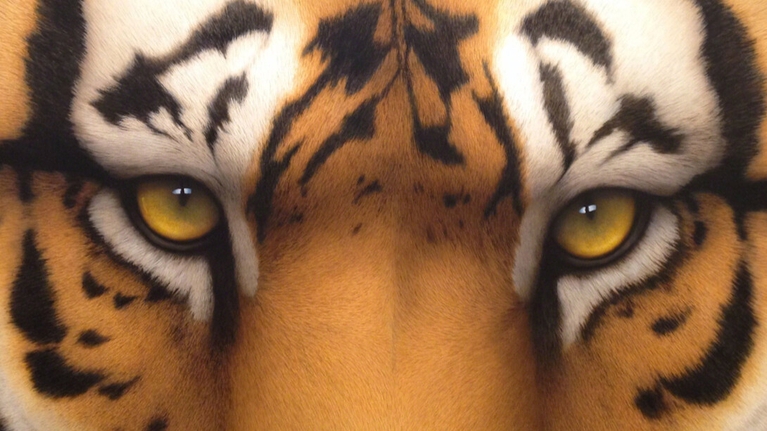 Tom Palmore, Tiger Eyes II, 2016. Courtesy of J. Cacciola Gallery W