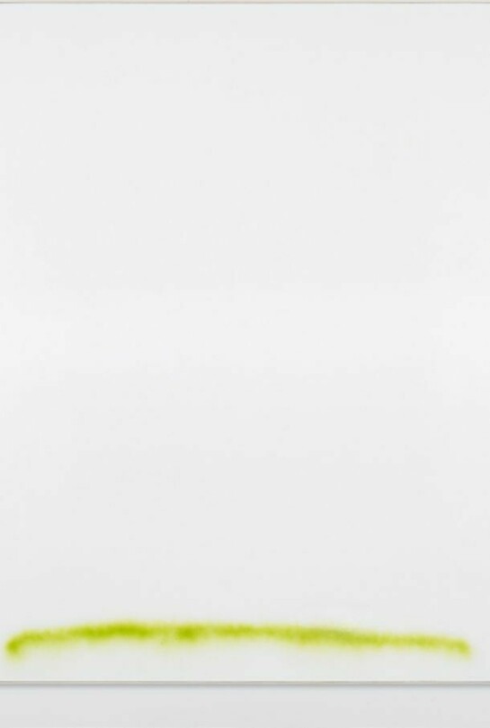 David Ostrowski, F (Landscape), 2013, gesso and lacquer on canvas, wood, 94 7/8 x 75 1/4 in. (241 x 191 cm)