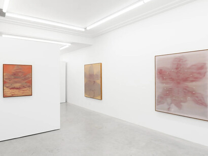 Heath Wae, School of the flower, exhibition view. Courtesy of Arden + White Gallery 