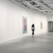 Maria Lassnig, Self with dragon, exhibition view. Courtesy of Hauser & Wirth Gallery