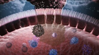 Microbiome and menthal health
