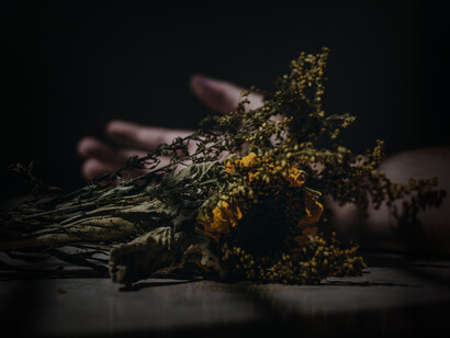 Una flor marchita