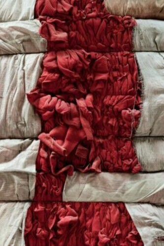 George Tatge, Cenci rossi, Prato 2013