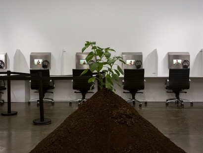 Lí Wei. Courtesy of Klein Sun Gallery 