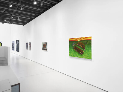 Hein Koh, Hope springs eternal, exhibition view. Courtesy of Anton Kern Gallery