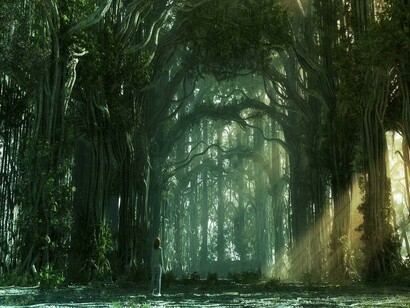 Perdida na floresta