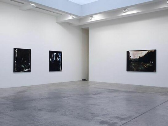 Matt Saunders, Installation view