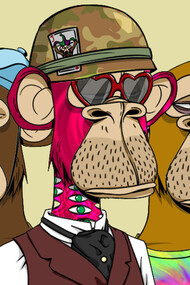 The Bored Ape Yacht Club collection