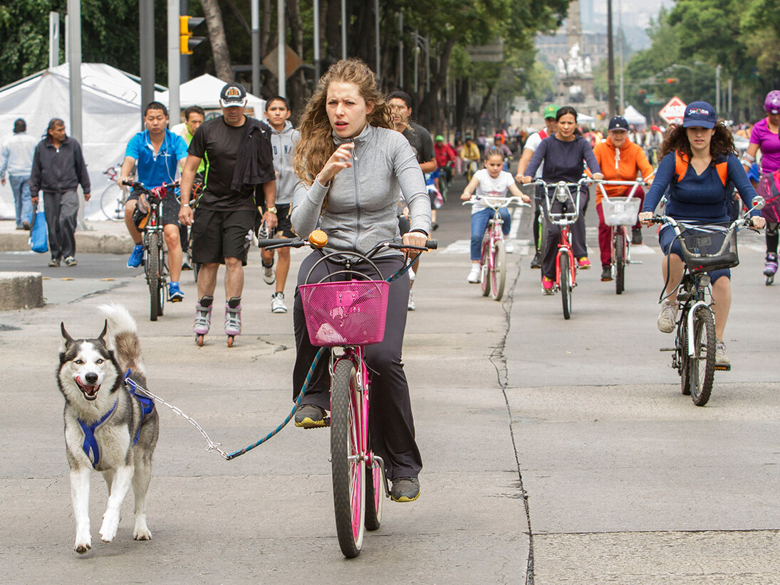 Por el parque en bicicleta