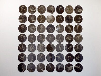 Lidó Rico, De rerum naturae, exhibition view. Courtesy of Luisa Catucci Gallery