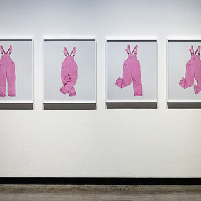 Annette Kelm. Courtesy of Kunsthalle Wien