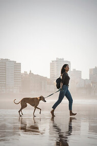 A woman enjoying quality time with her Greyhound dog, playing and having fun by the beach