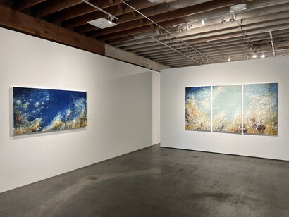 Michael Schultheis, The flowers of Fibonacci, exhibition view. Courtesy of Winston Wächter Fine Art Gallery