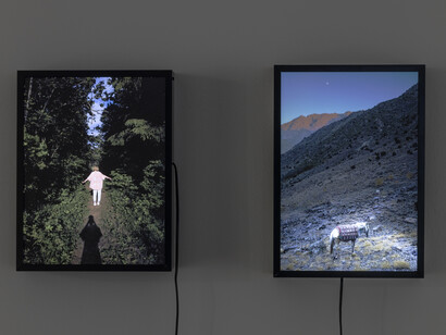 Alexei Gordin, This land is your land, exhibition view. Courtesy of Tallinn City Gallery