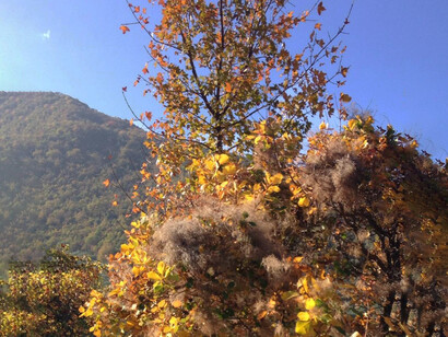 Colori d'autunno nei Sibillini