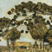 Miguel Bakun, a collection’s gaze. Courtesy of Museu Oscar Niemeyer