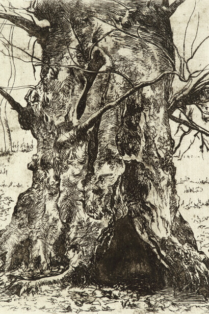 Joseph Stella, Untitled (Tree trunk) (detail), ca. 1910. Courtesy of High Museum of Art