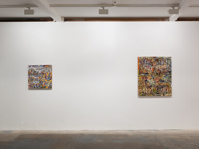 William Daniels, 2014, Vilma Gold, London, Installation View, Courtesy Vilma Gold, London