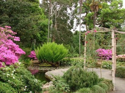 Batumi Botanical Garden