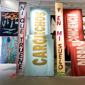 Nadia Hernández, Para verte mejor, en todo tiempo (To see you better, at all times), exhibition view. Courtesy of Art Gallery of NSW