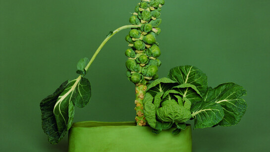 Still Life. Courtesy of Museion