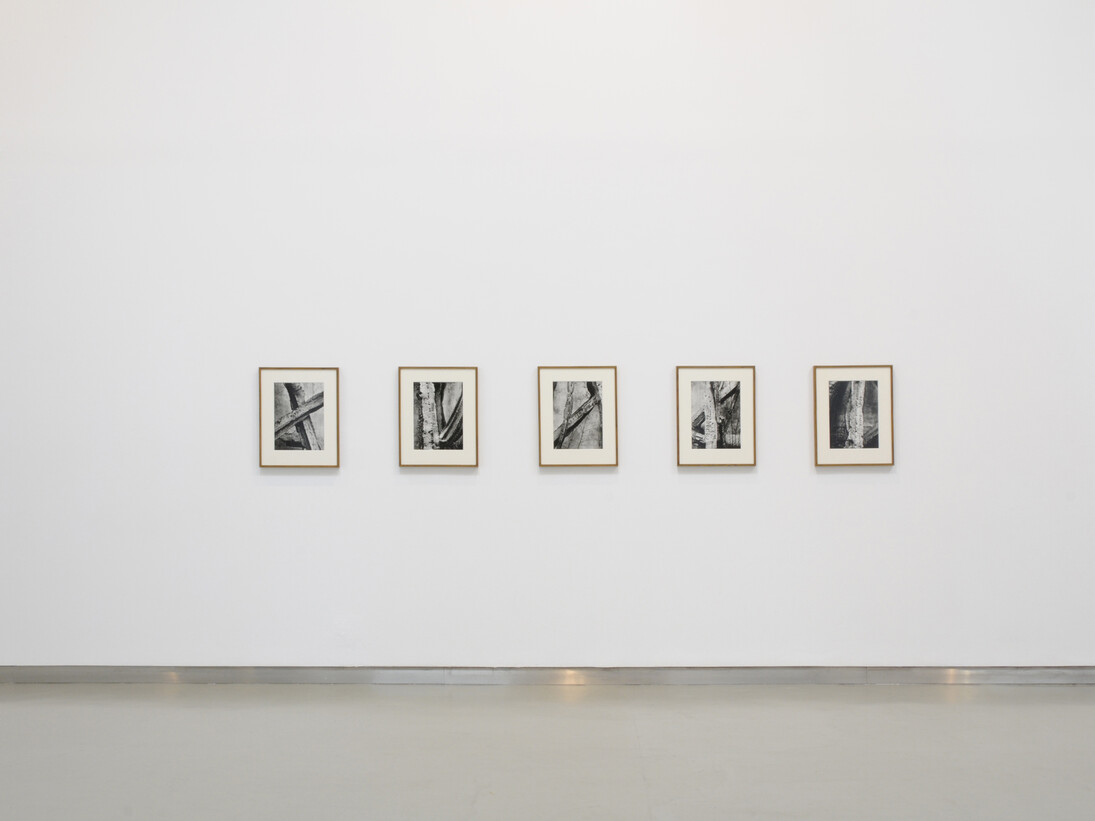 João Penalva, Installation view