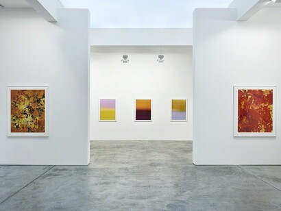 James Welling. Chronology, Exhibition view. Courtesy of Marian Goodman Gallery