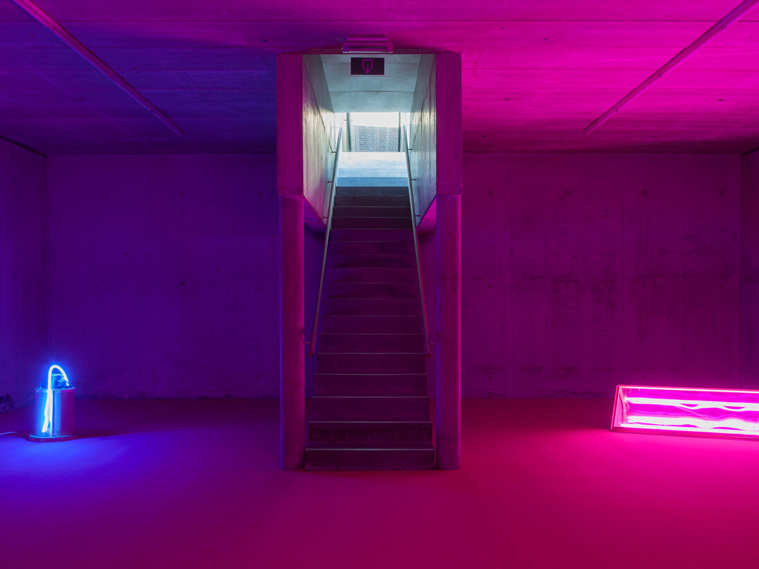 Courtesy Joris Van de Moortel & Galerie Nathalie obadia Paris/Bruxelles. Copyright: We Document Art