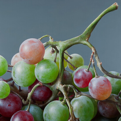 Antonio Castelló Avilleira, Grapes IV, Oil on linen, 120 x 120 cm          
            