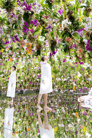 Floating Flower Garden; Flowers and I are of the Same Root, the Garden and I are One © teamLab Planets Tokyo