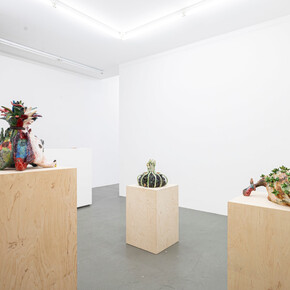 Dominika Bednarsky, Clay pigeons, exhibition view. Courtesy of Gaa Gallery