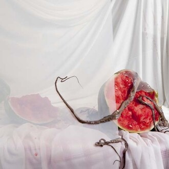 Offal. Courtesy of ABXY