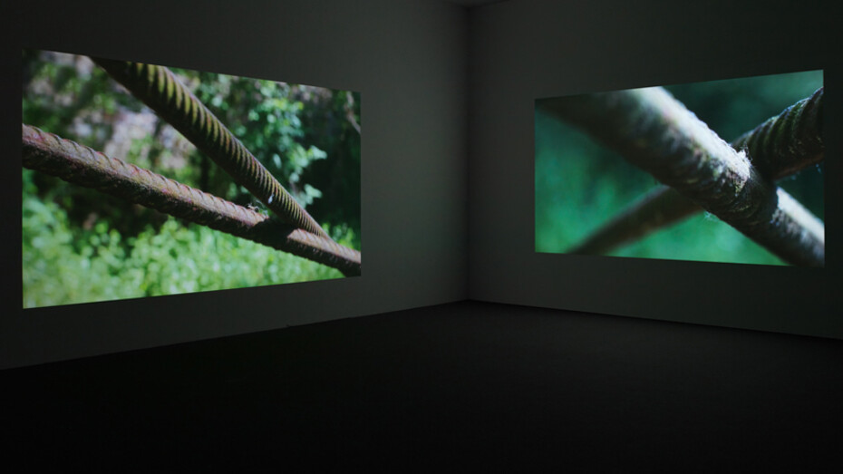 Wolfgang Tillmans. Courtesy of David Zwirner