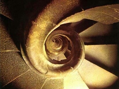 Gestalt inspiration for a spiral staircase