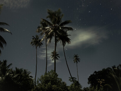 Alistair Taylor-Young, Moonlight © Alistair Taylor-Young 