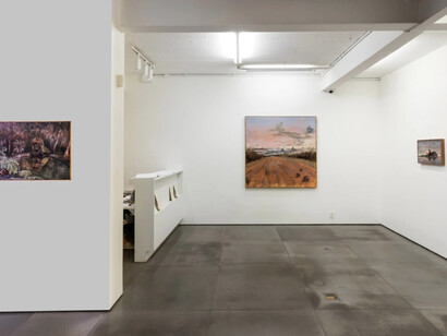 Alberto Baraya. Courtesy of Galeria Nara Roesler