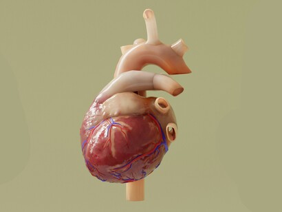 L’intervento precoce sui soggetti ad alto rischio cardiovascolare mediante terapia farmacologica mirata può ridurre incidenza e mortalità per eventi ischemici